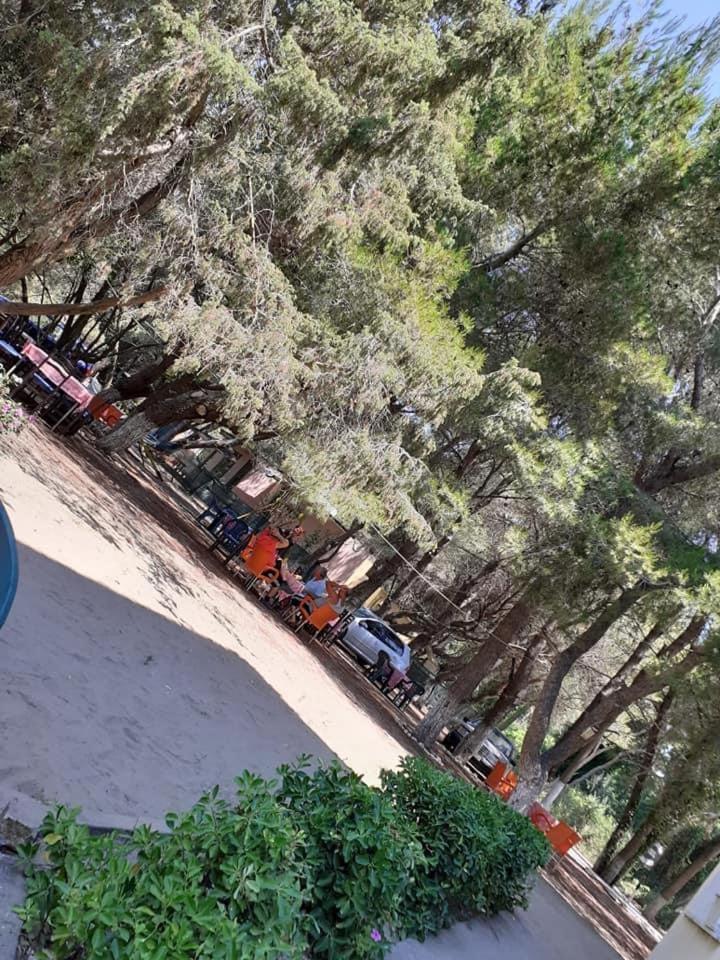 Divjaka Park Екстериор снимка
